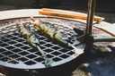 Barbecue modulaire fiQ Hospitality Artola - photo 4