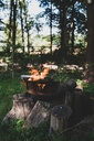 Barbecue TrunQ Artola - photo 2